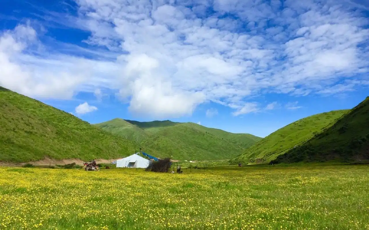 唯美护眼绿色草原风景图片桌面壁纸