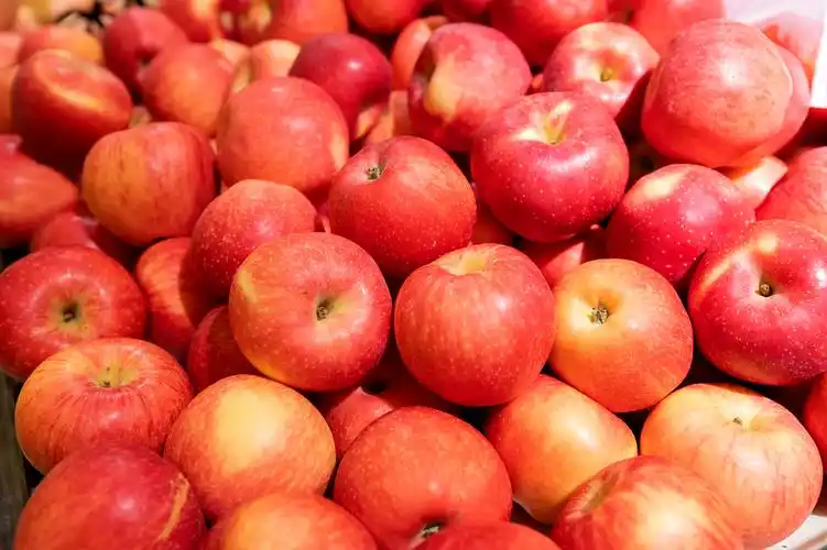 实拍水果水果特写苹果特写货架内景