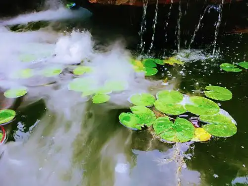 浓夏时光.醉心清宁