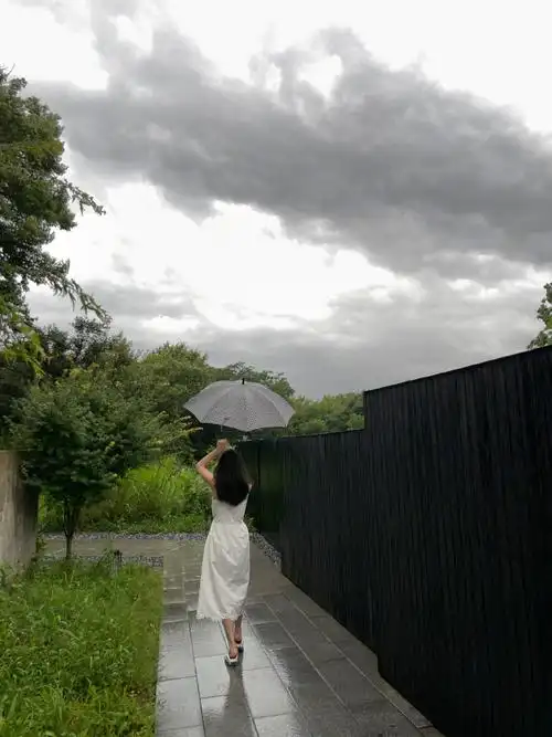 虞书欣撑伞四宫格live图#虞书欣雨中撑伞背影氛围感也有点太绝了吧!