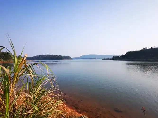 长沙红旗水库随拍(三)
