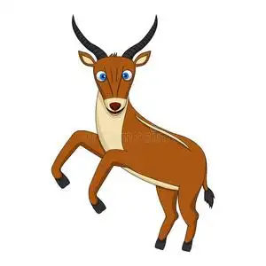 棕色的羚羊走图片