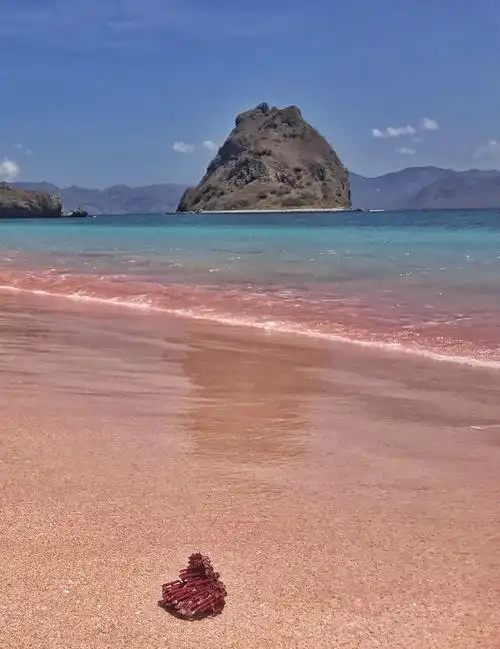 其实这个粉色沙滩远远没有照片上看上去的那么明显我觉得就是稍微有