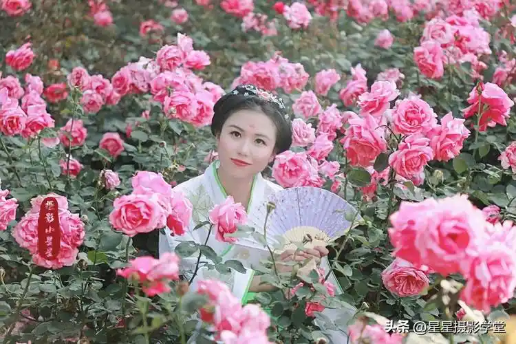 花海人像怎么拍?记住这8句摄影口诀,你也能拍出优雅唯美人像!