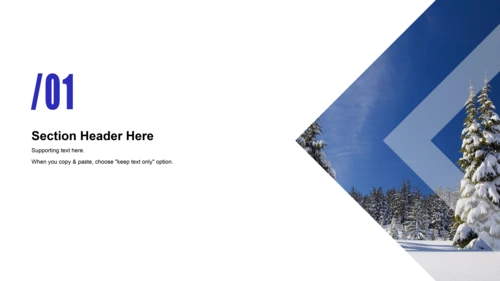 高端大气商务总结报告ppt模板