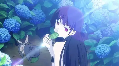 如果经常看动画,一定不会对紫阳花陌生,而且动画里下雨路过某处时
