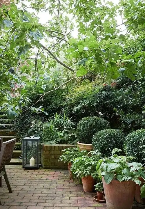 造一个充满情调的农家小院|庭院|农宅|桌椅|小花园_网易订阅