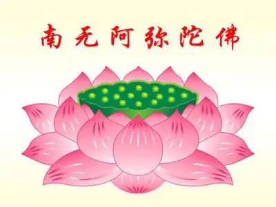 万佛堂 各种善美图片【阿弥陀佛 莲花】 a3尺寸过膜 相纸贴画