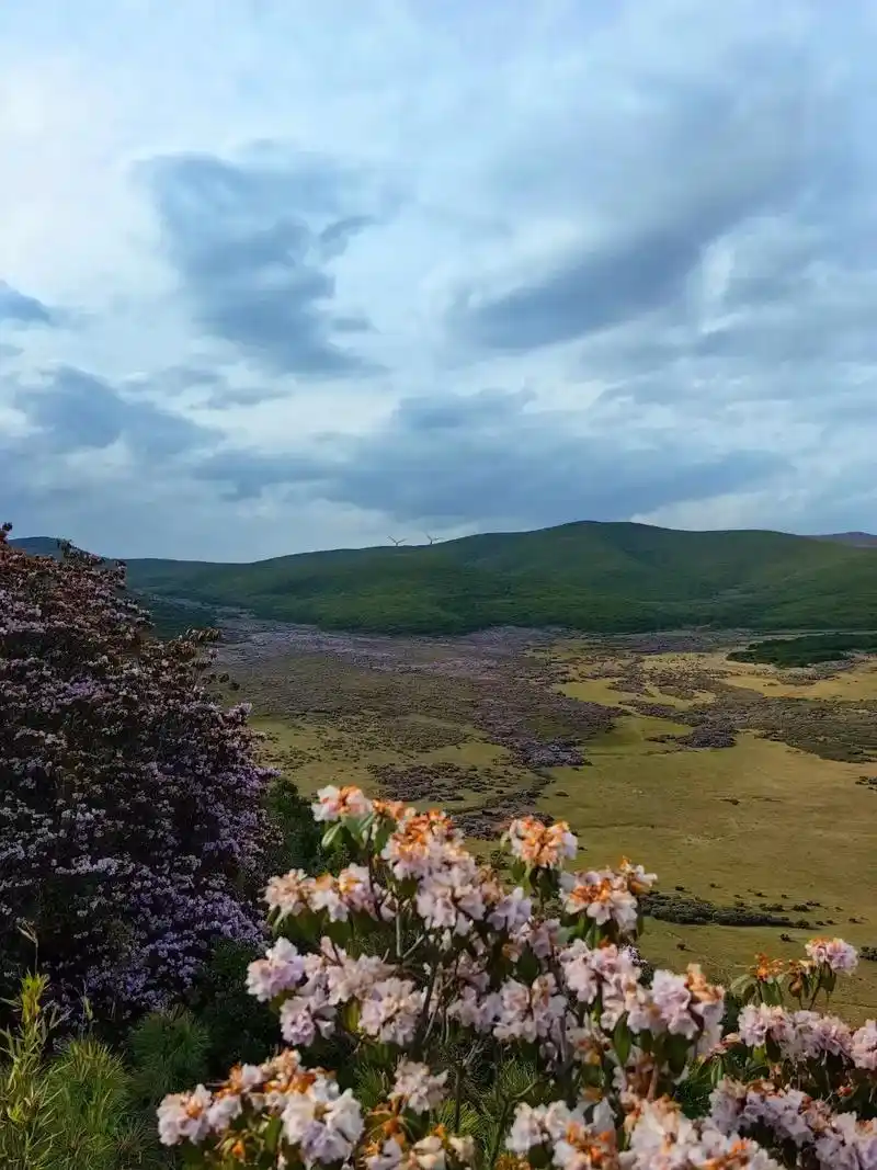 我并无过人文采,叙不了八百里凉山的狂放豪迈,绘不出彝族男儿的耿直