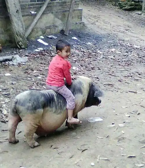 小朋友相关笑话段子|搞笑图片|爆笑视频大全