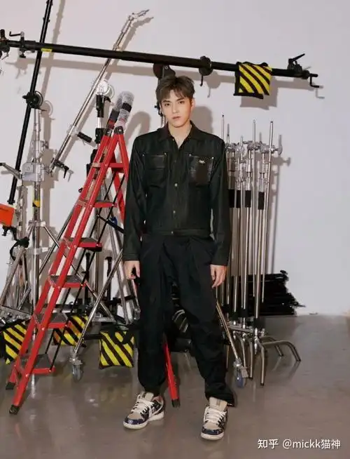 吴亦凡同款ts✘sbdunk腰果花