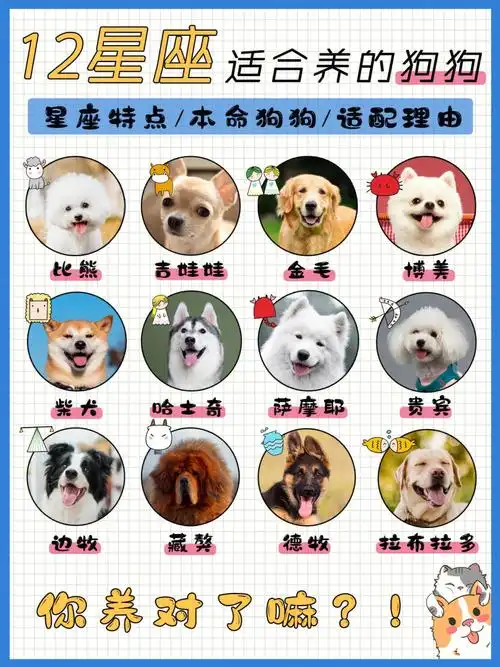 每一个星座都有专属本命修狗勾,佩妈今天来盘点一下,康康你养到了没?
