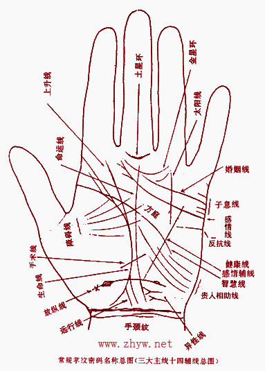 手相掌纹介绍
