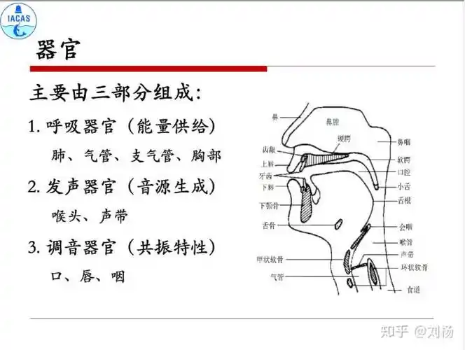 发声机理是什么?