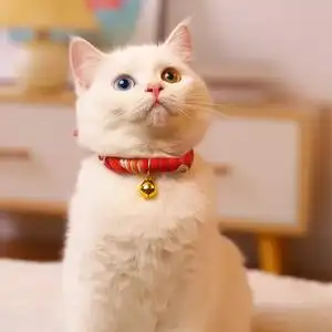 猫铃铛项圈猫咪项圈猫颈圈脖圈项链狗项圈小猫项圈猫咪饰品猫项圈