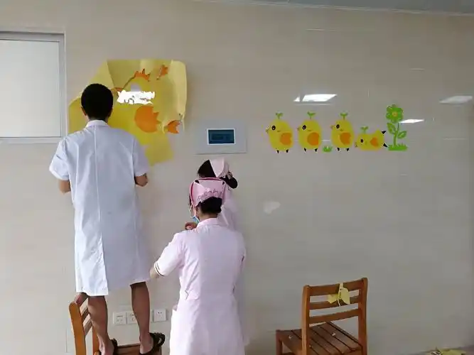 我给小鸡找个家