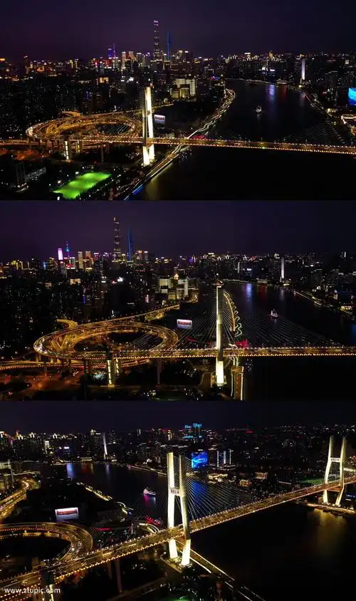 航拍南浦大桥夜景视频素材