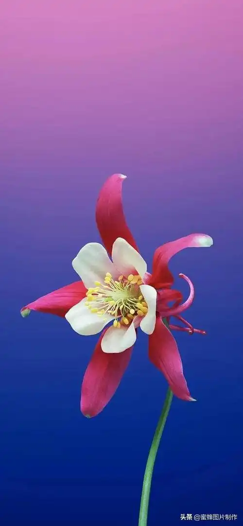 护眼壁纸,护眼壁纸风景(高清护眼壁纸背景图)