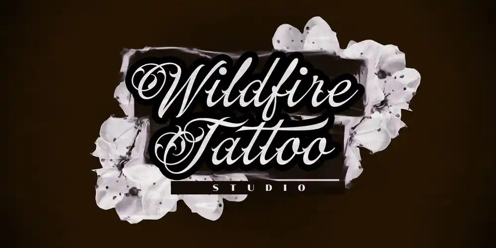 170款手写风格英文字体打包下载