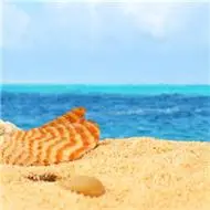 阳光点的微信头像点击鼠标右键下载