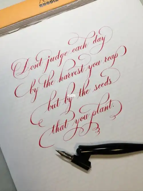 英文花体字分享