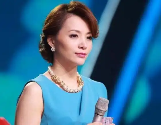 期待董卿的归来