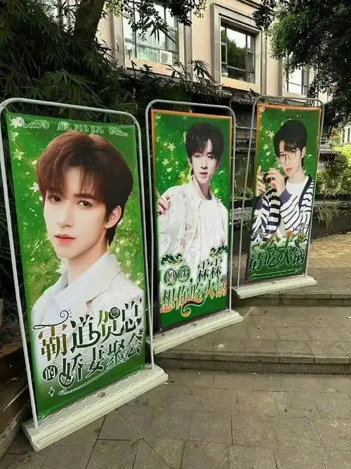 贺峻霖重庆演唱会应援