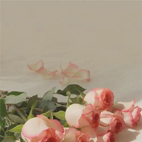 唯美花的头像 风景 清新 淡雅 花朝花暮_风景头像_头像屋