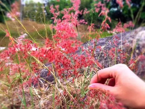 今年秋冬最流行的口红色号竟然藏在华商