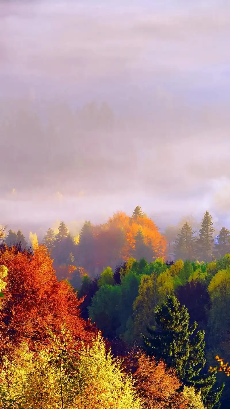 4款风景壁纸,总有一款适合你#抖音图文来了 #高清壁纸 #手 - 抖音