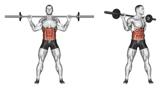 30张腹肌训练图谱告诉你,腹肌各部位怎么练