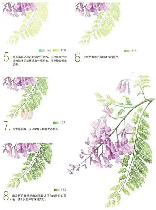蓝花楹植物彩铅素描绘画图文教程-5