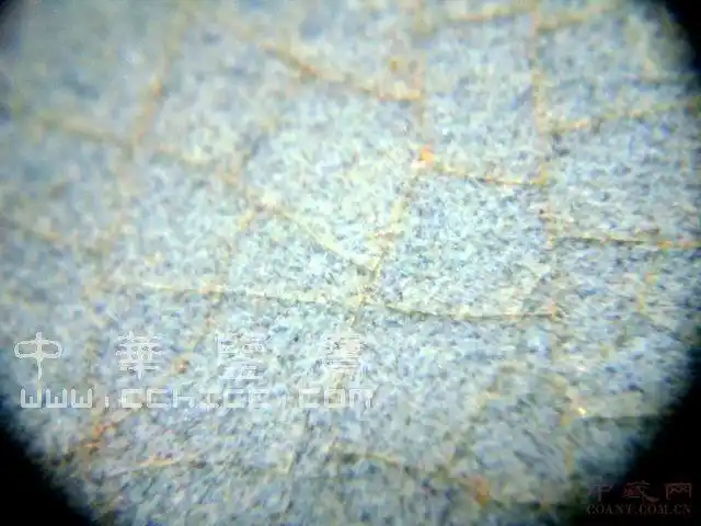 "蟹爪纹"的形成因素;怎样识别?