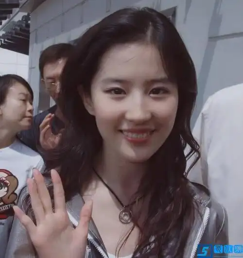 刘亦菲个人资料介绍(刘亦菲年龄造假争议发酵)