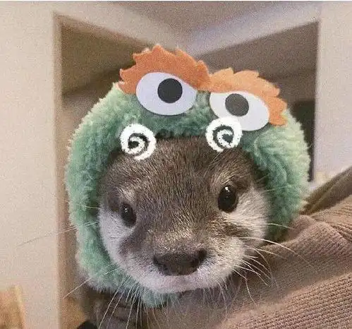 动物头像图片可爱 - 搜狗图片搜索