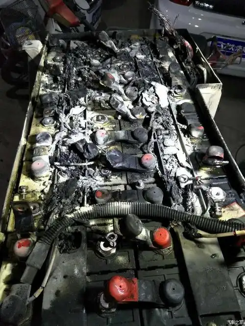 江铃新能源垃圾老年代步车电池爆炸自燃,骗补_江铃e200l论坛_汽车之家