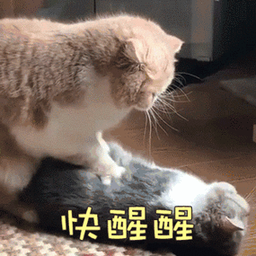 醒醒好吗图片_醒醒好吗动态图_醒醒好吗表情包gif动图下载_soogif