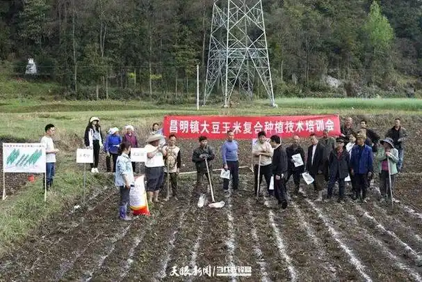 媒体看昌明奋进的春天贵定昌明镇春耕备耕正当时农技服务到田间