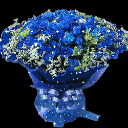 1月1日送你一心一意的祝福