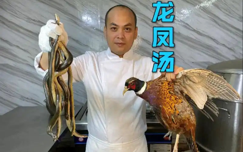 分享一道滋补药膳龙凤汤汤色清澈补而不燥滋补汤品上选