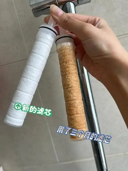 太可怕了三个月的过滤芯这样正常吗