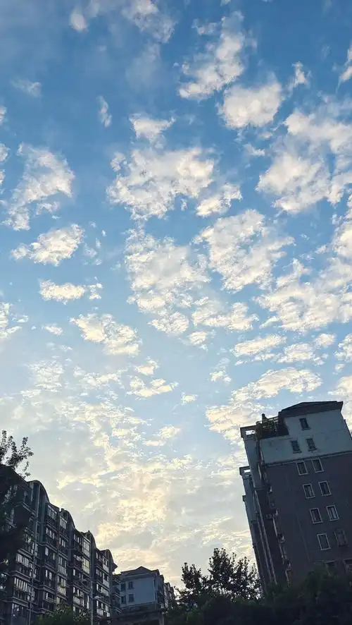 早安呀天空像棉花糖一样风儿静静的吹夏季的早晨真凉快