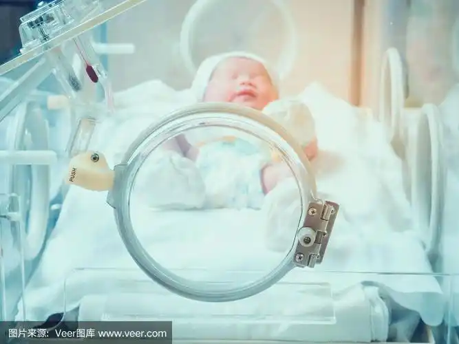 在医院产房的保温箱里的新生儿