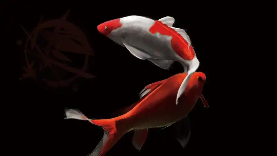 鲤鱼 厚涂 板绘|插画|艺术插画|南山丨客 - 原创作品 - 站酷 (zcool)