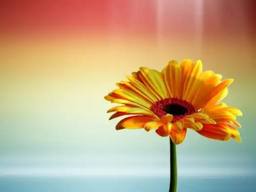 学会对自己好一点拥有这些世界将会为你张开怀抱