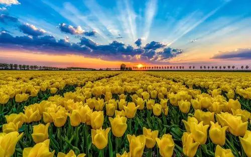 温暖的阳光 壁纸图片