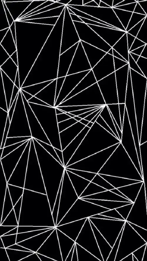 黑 线条 壁纸