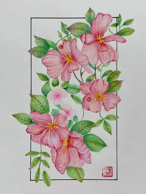 彩铅画彩铅花卉附详细步骤图色号