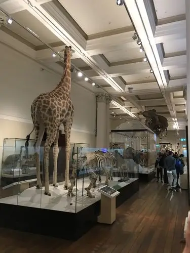 参观澳大利亚博物馆和艺术馆集锦