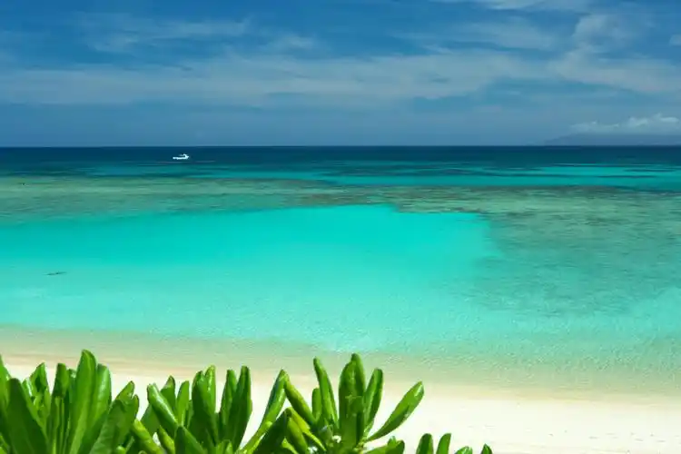 tripadvisor-猫途鹰